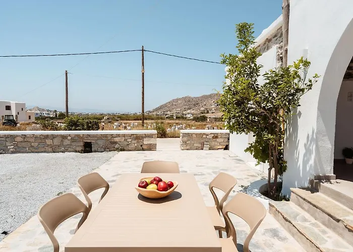 Bee Naxian House Casa vacanze